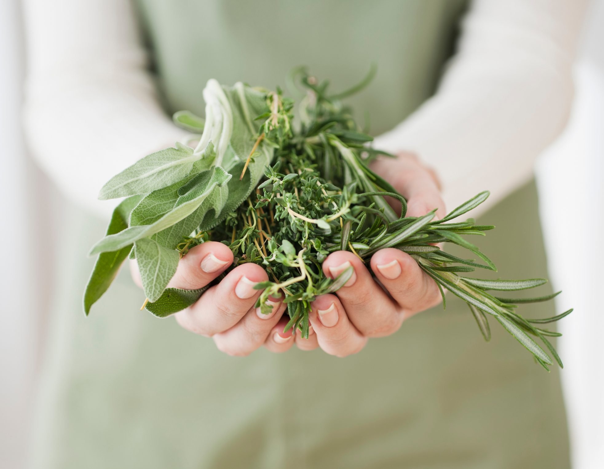 10 Herbs That Can Help Ease Stress