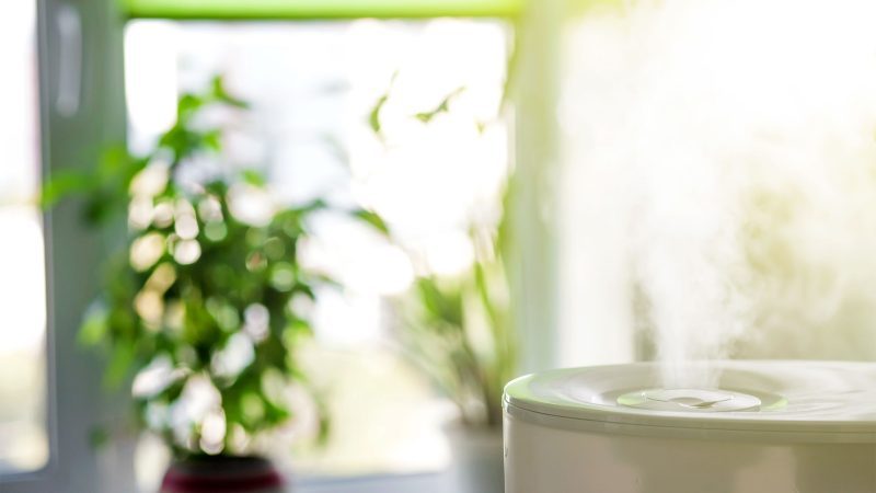 How To Choose The Best Humidifier For Your Space The Healthy