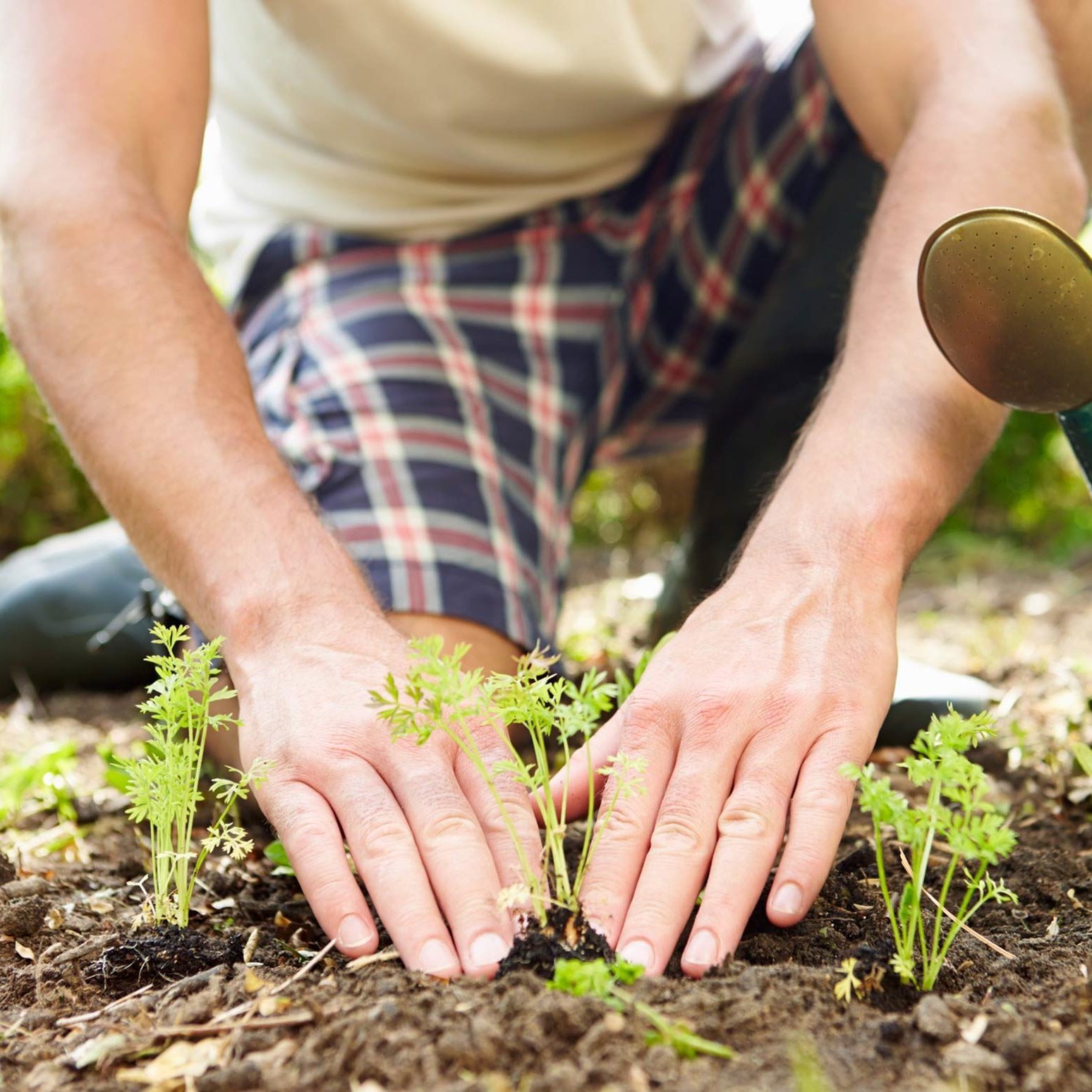 10 Surprising Ways Gardening Is One of the Healthiest Things You Can Do