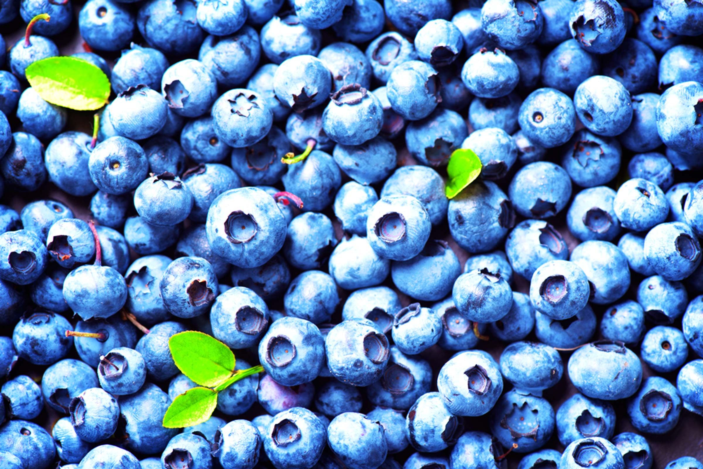 https://www.thehealthy.com/wp-content/uploads/2017/03/06-blueberries-Healthiest-Foods-From-Every-Food-Group_300059567-Subbotina-Anna.jpg?fit=696%2C464