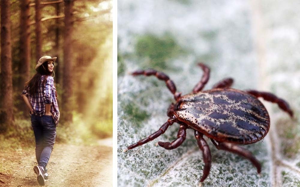 9 Foolproof Tricks to Avoid Tick-Borne Illnesses—Including One That's More Dangerous Than Lyme