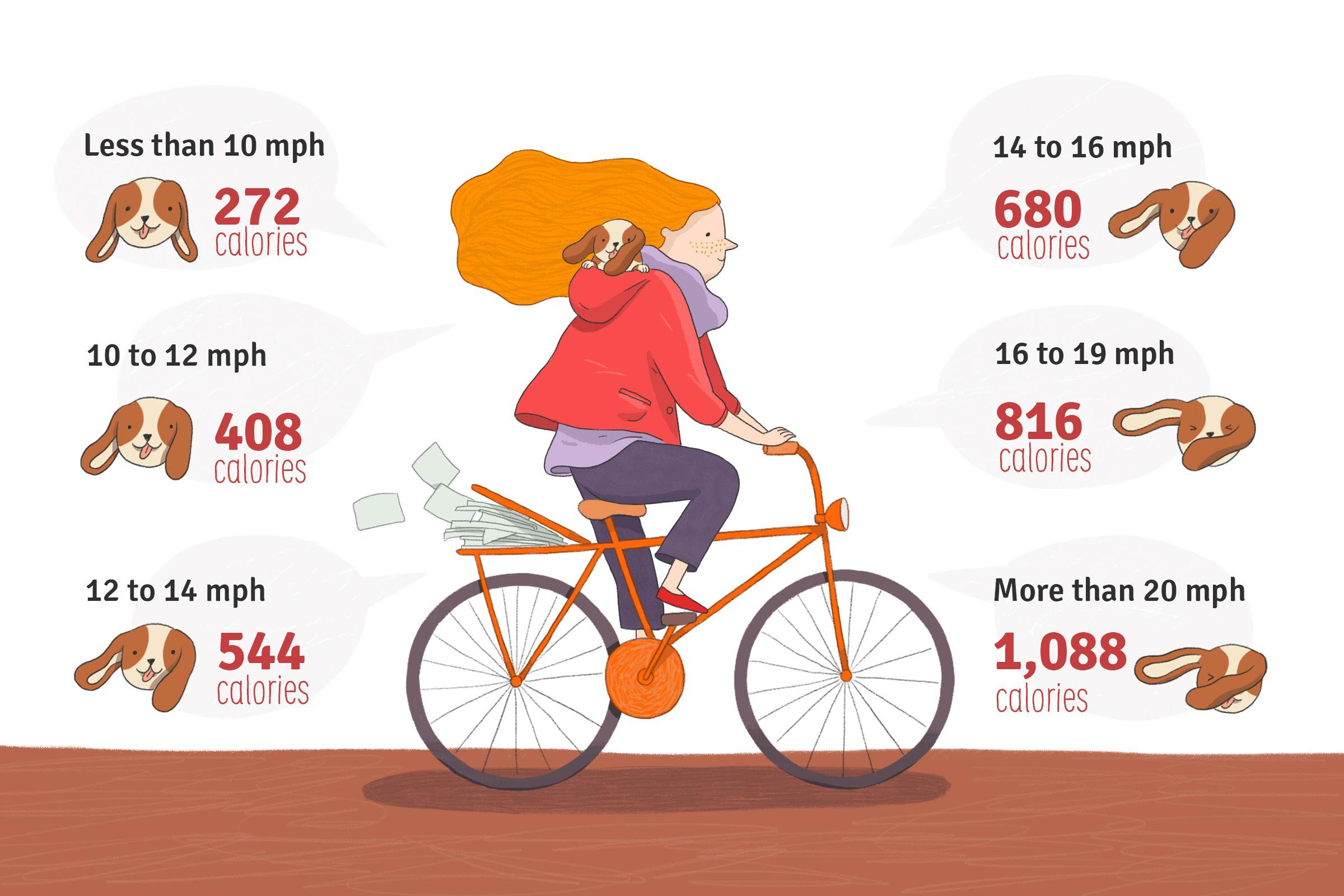 Biking To Lose Weight The Healthy