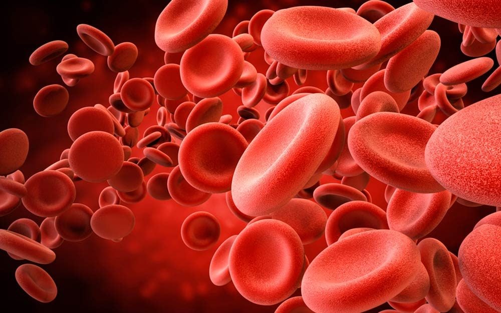 Here's Why Blood Is Red (Because You've Always Wondered)
