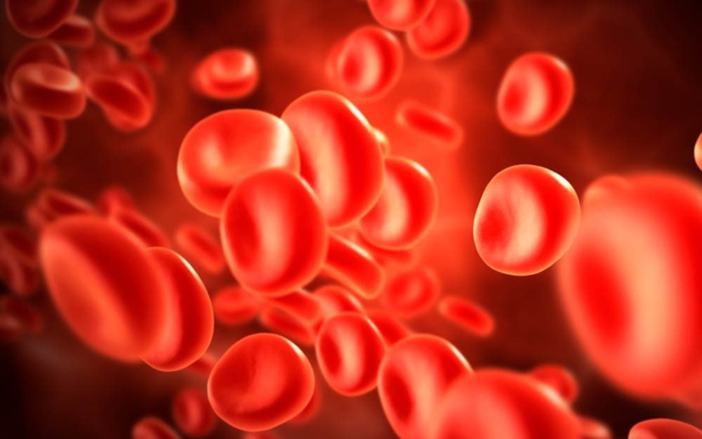 8 Reasons Everyone Should Know Their Blood Type
