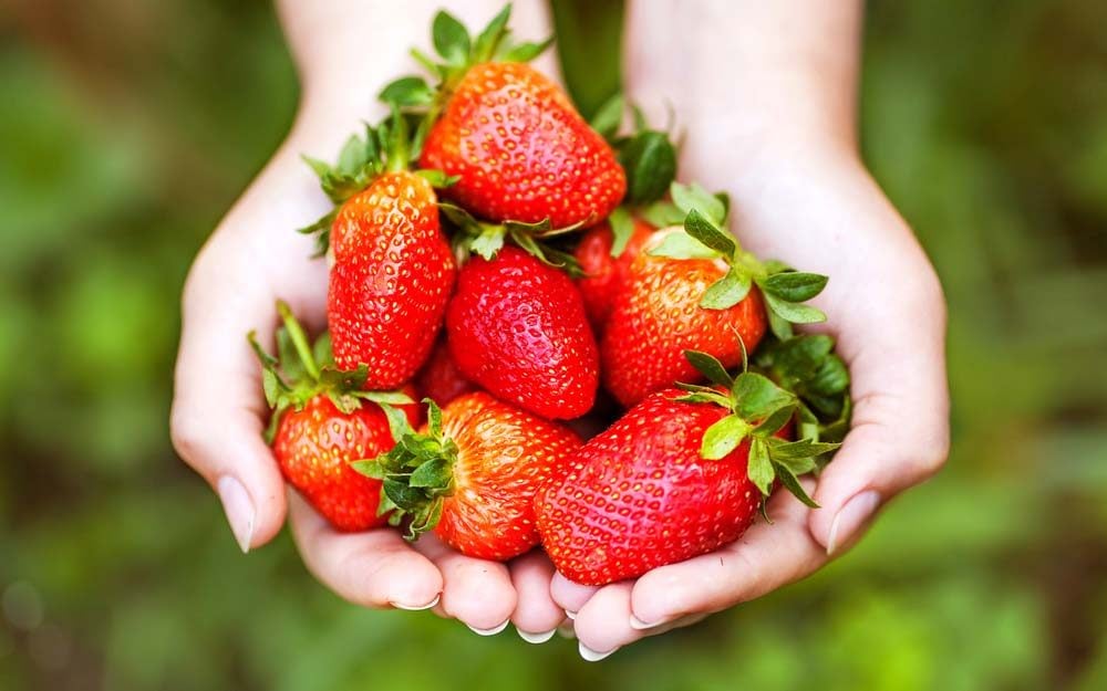 9 Potential Health Benefits of Strawberries