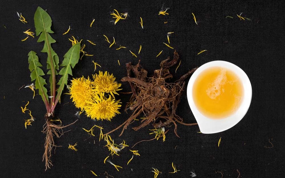 8 Things To Know About Using Dandelion Root