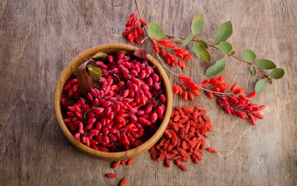 8 Health Benefits of Goji Berries You Didn't Know About