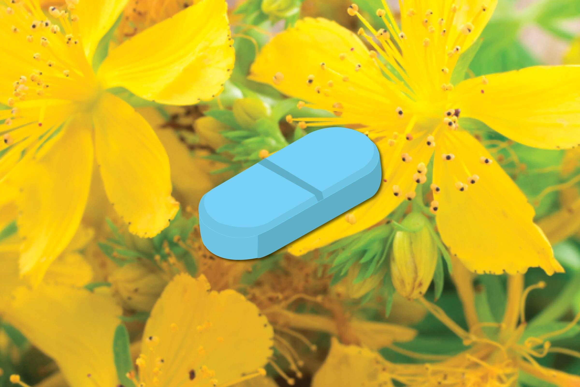 Illustration of St. John's wort supplement against a background of the flowering plant from which it is derived.