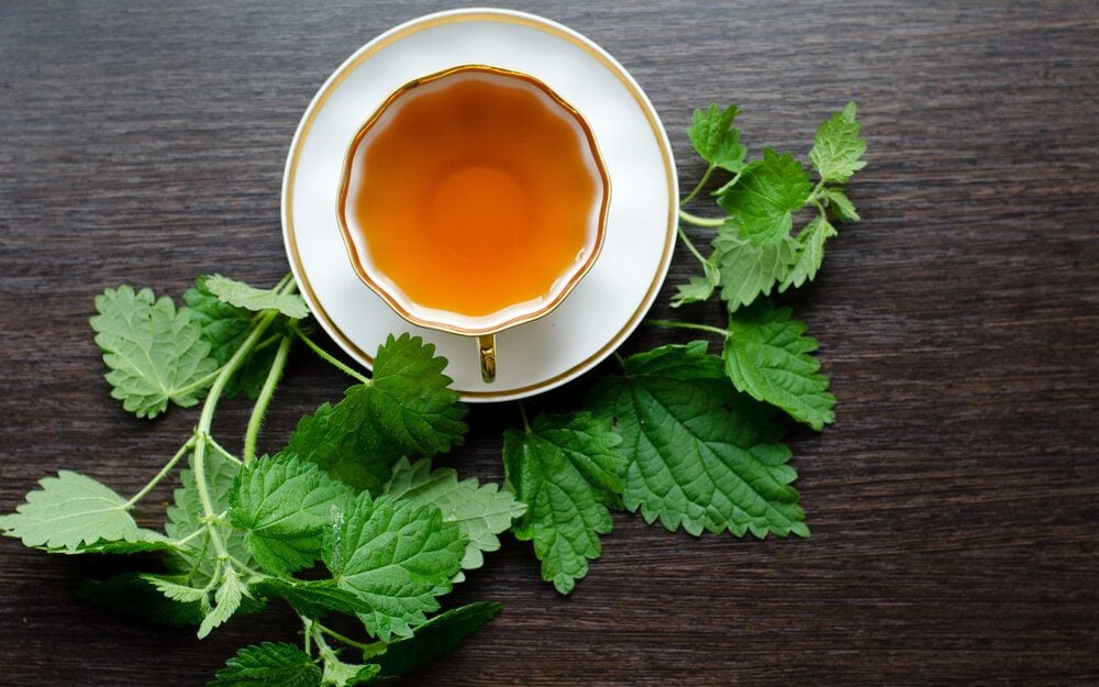 8 Surprising Health Benefits of Nettle Tea