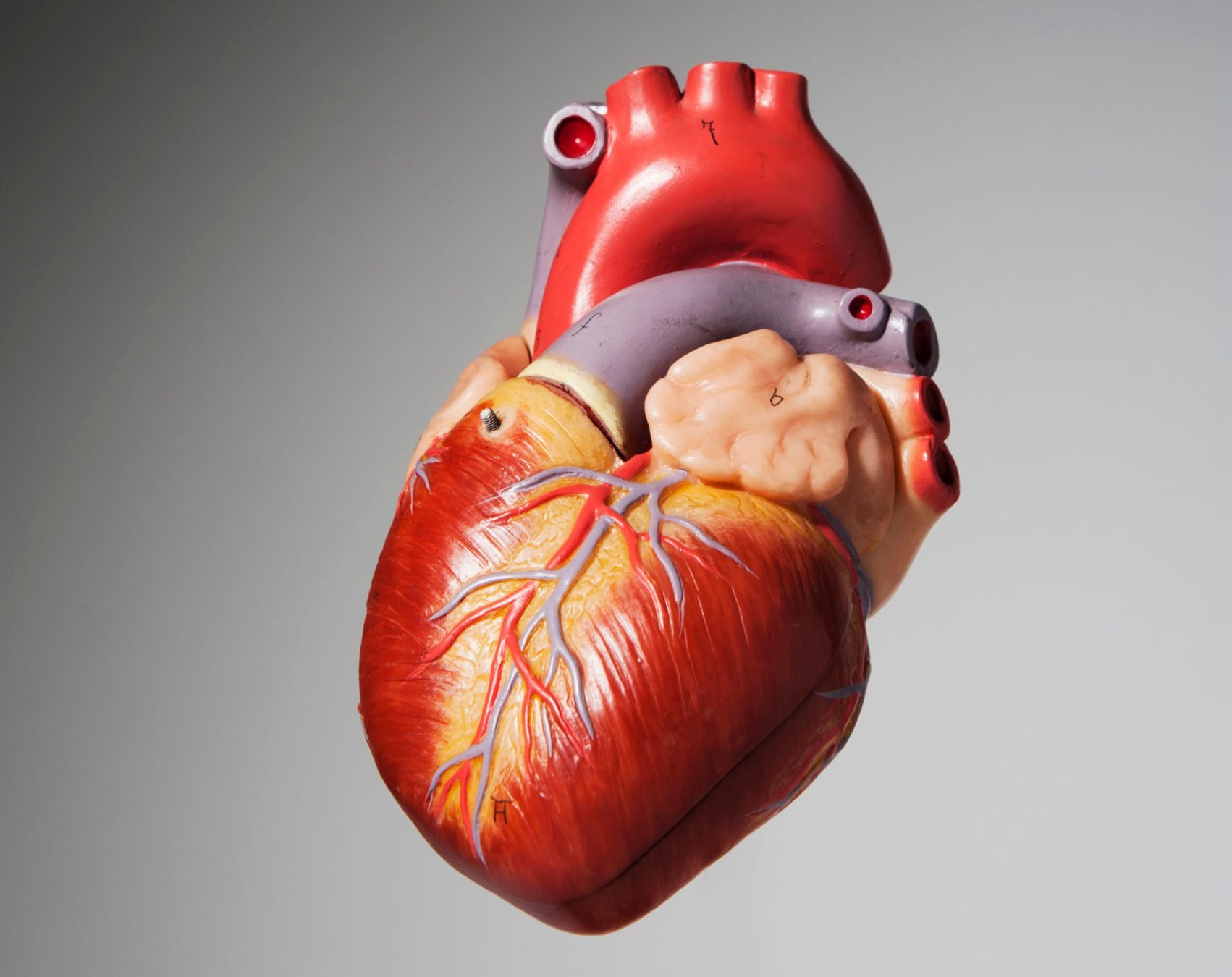 8 Ways to Keep Your Heart Valves Healthy