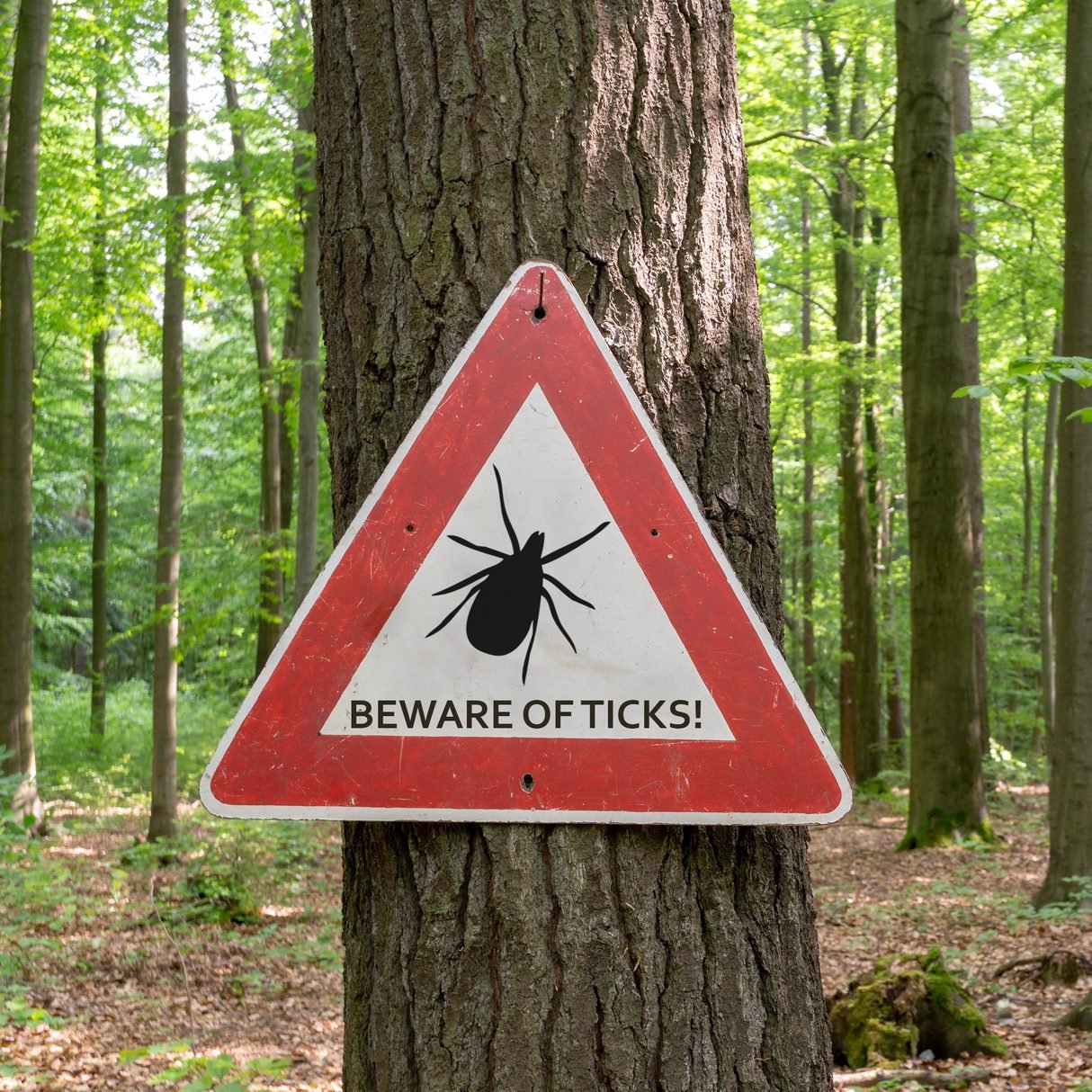 beware of ticks sign on tree in forest|father working at home with son in lap|sticky note on desk next to laptop coffee and glasses|tired businessman at work|cropped shot of woman holding sore throat|close-up of ear|close up of woman holding foot|doctor checking patient's heartbeat|man suffering from a headache at work|woman looking in refrigerator|couple standing in kitchen talking and drinking coffee|close up of man's eye|young girl having a panic attack|cropped shot of woman's outfit sweater and jeans|blurry vision, eye closeup|period menstruation schedule cycle planner|man woman sleeping|children in school working at desks