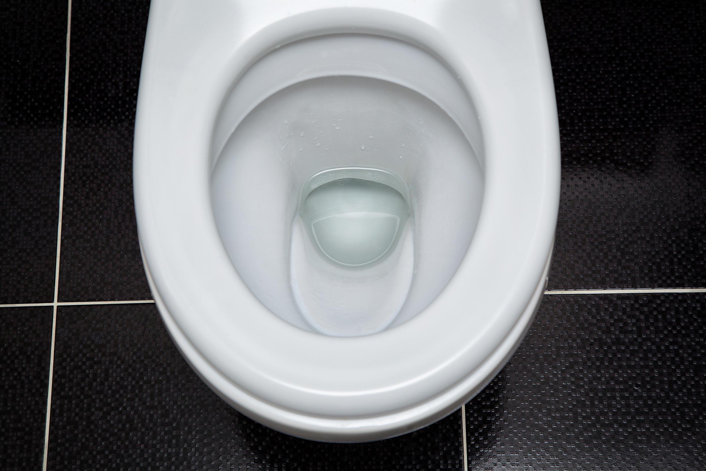 16 Everyday Items Dirtier Than a Toilet Seat