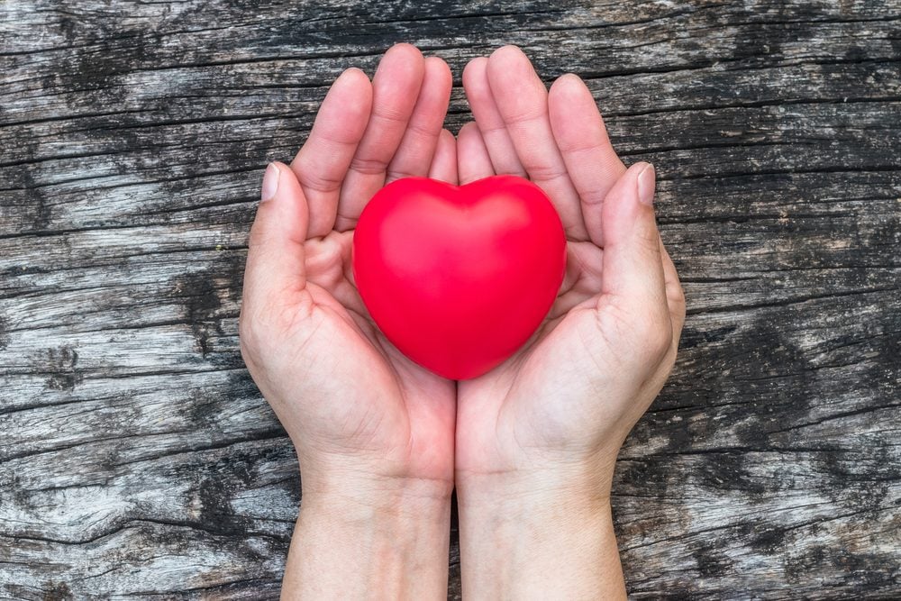 Heart health care medical cardiovascular disease concept and organ donor donation for life giving charity campaign with healthy red love heart on aging woman's  hand support|||||||||||||||||||