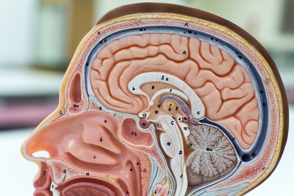 15 Strange Things That Can Literally Rewire Your Brain