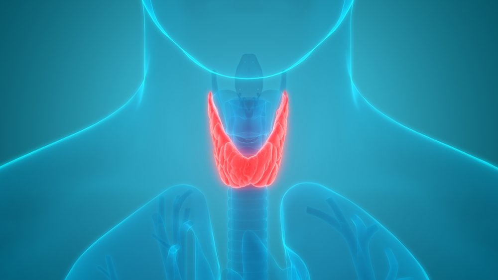 10 Foods that Thyroid Experts Avoid—and 3 that They Love
