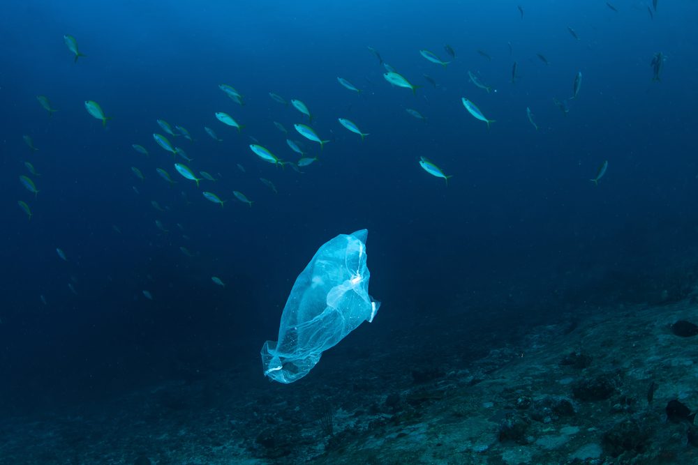 Facts That Will Make You Stop Using Plastic | The Healthy