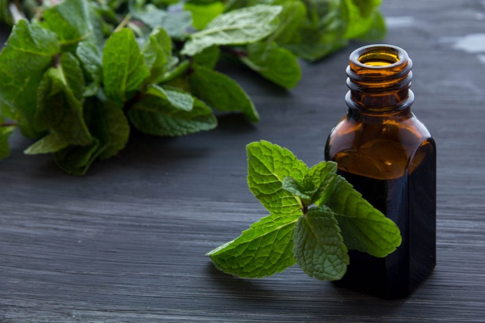 20 Conditions Peppermint Can Ease