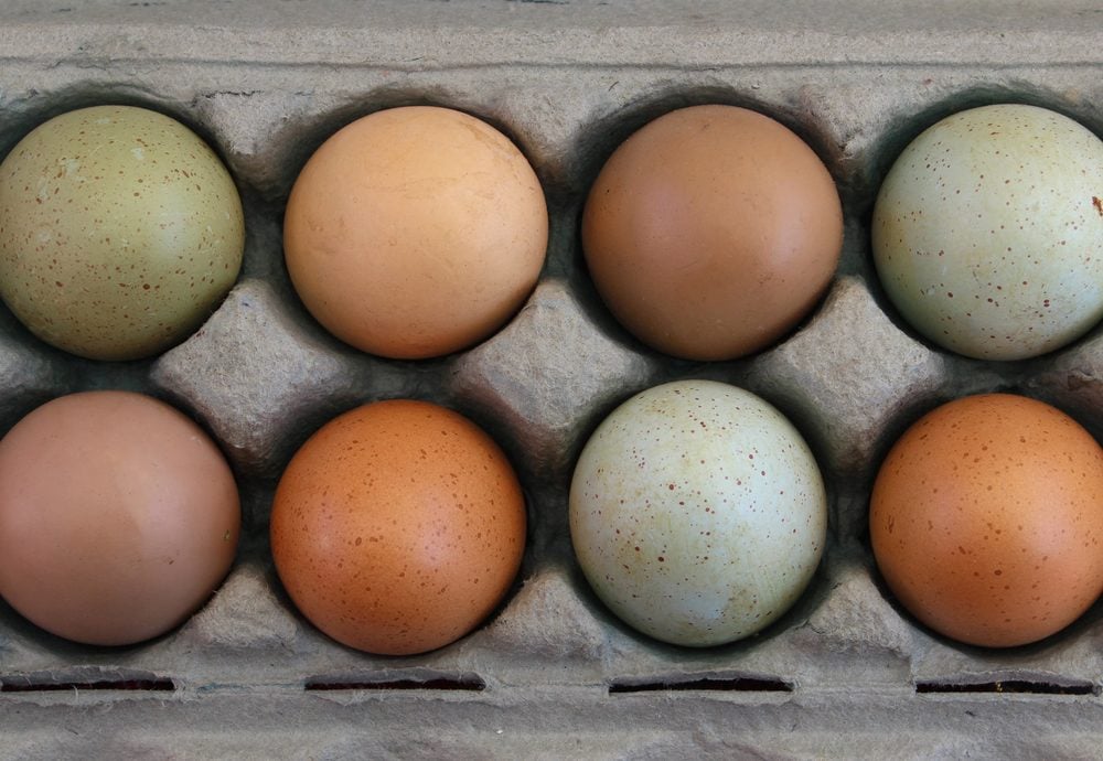 10 “Facts” About Eggs That Just Aren’t True