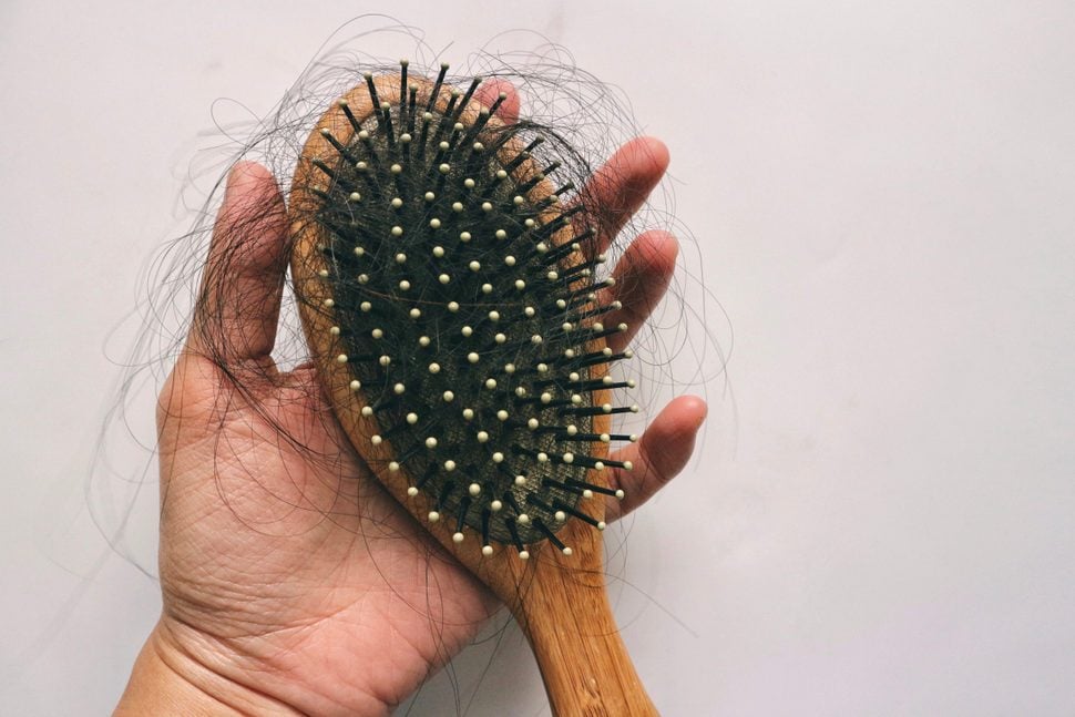 Hair loss inside wood comb brush, on hand