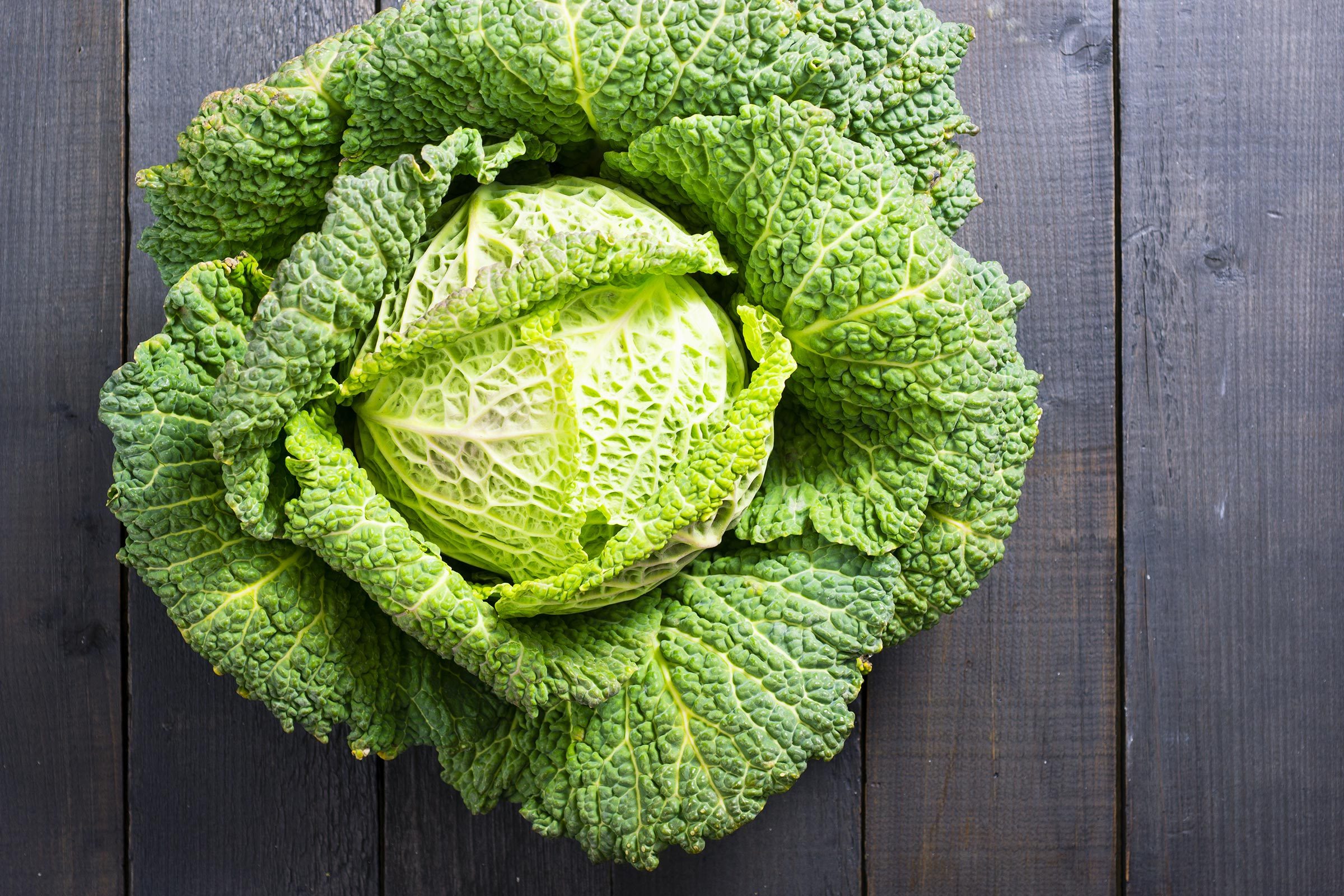 is-cabbage-good-for-you-nutrients-benefits-and-more-the-healthy