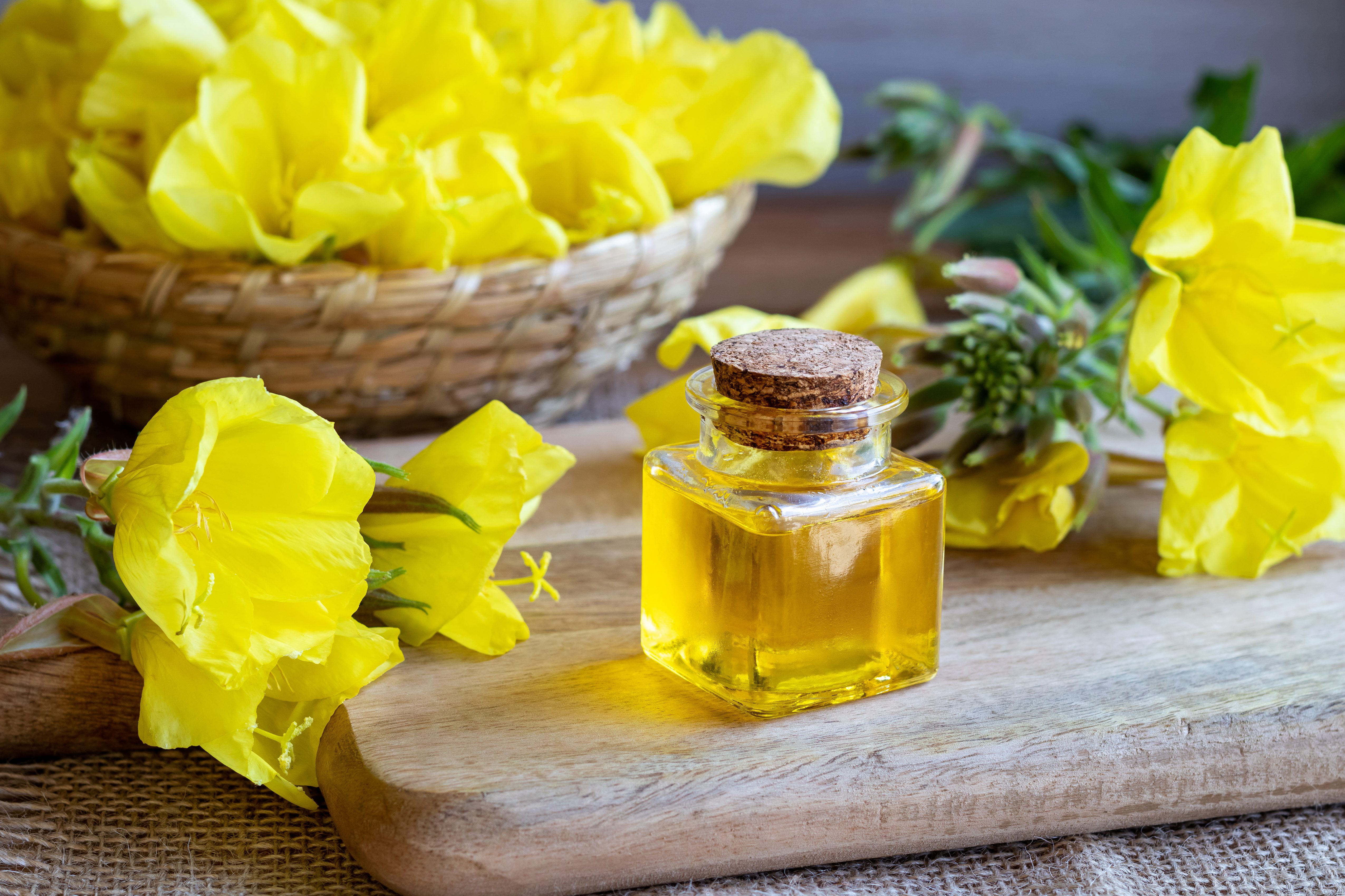 Evening Primrose Oil: How it Heals