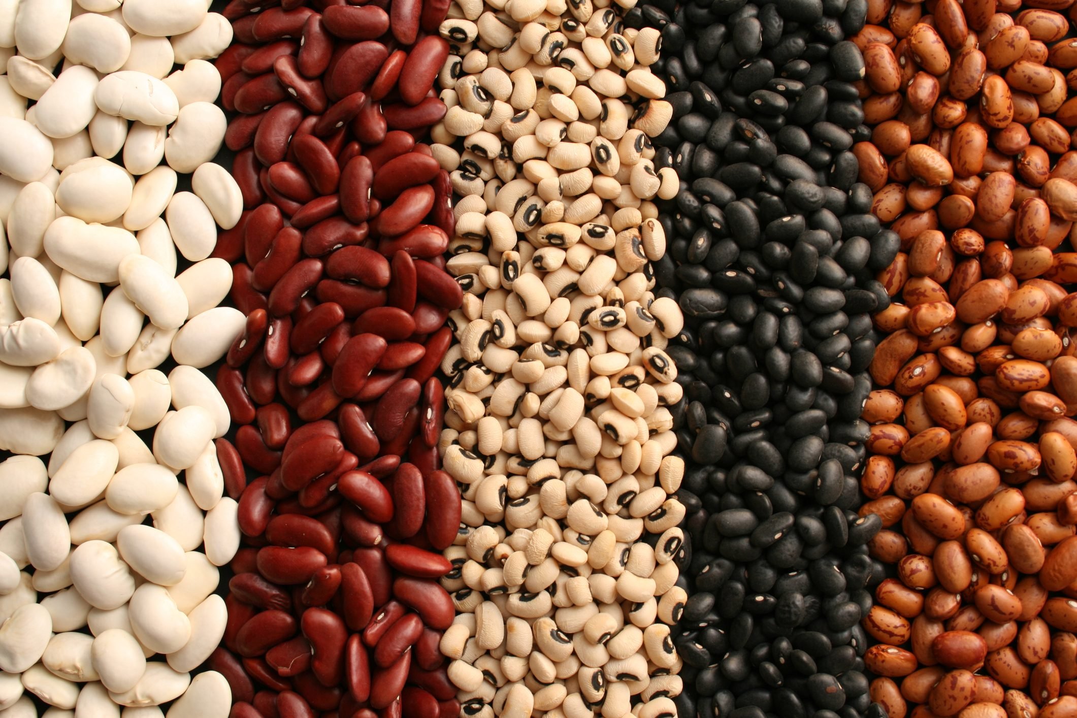 6 Types of Beans to Meet Your Protein Needs