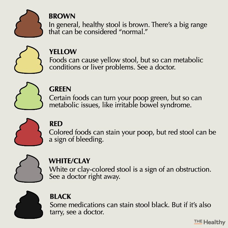 Poop Stool Color Changes Color Chart And Meaning Healthy Concept Stock 