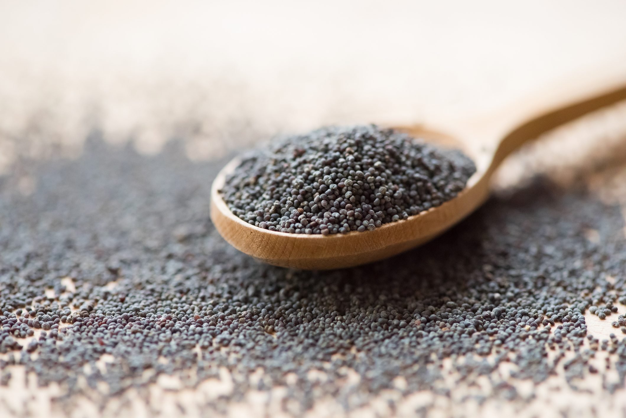 Eating Poppy Seeds? Here Are the Health Benefits, Nutrition, and Risks