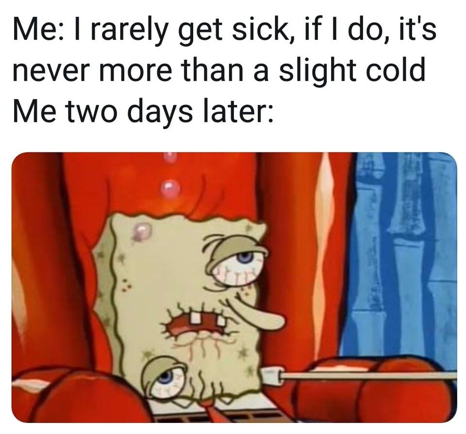 sick with the flu funny