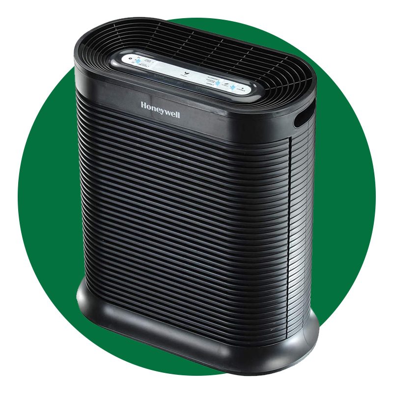 7 Best Air Purifiers for Mold, According to Experts