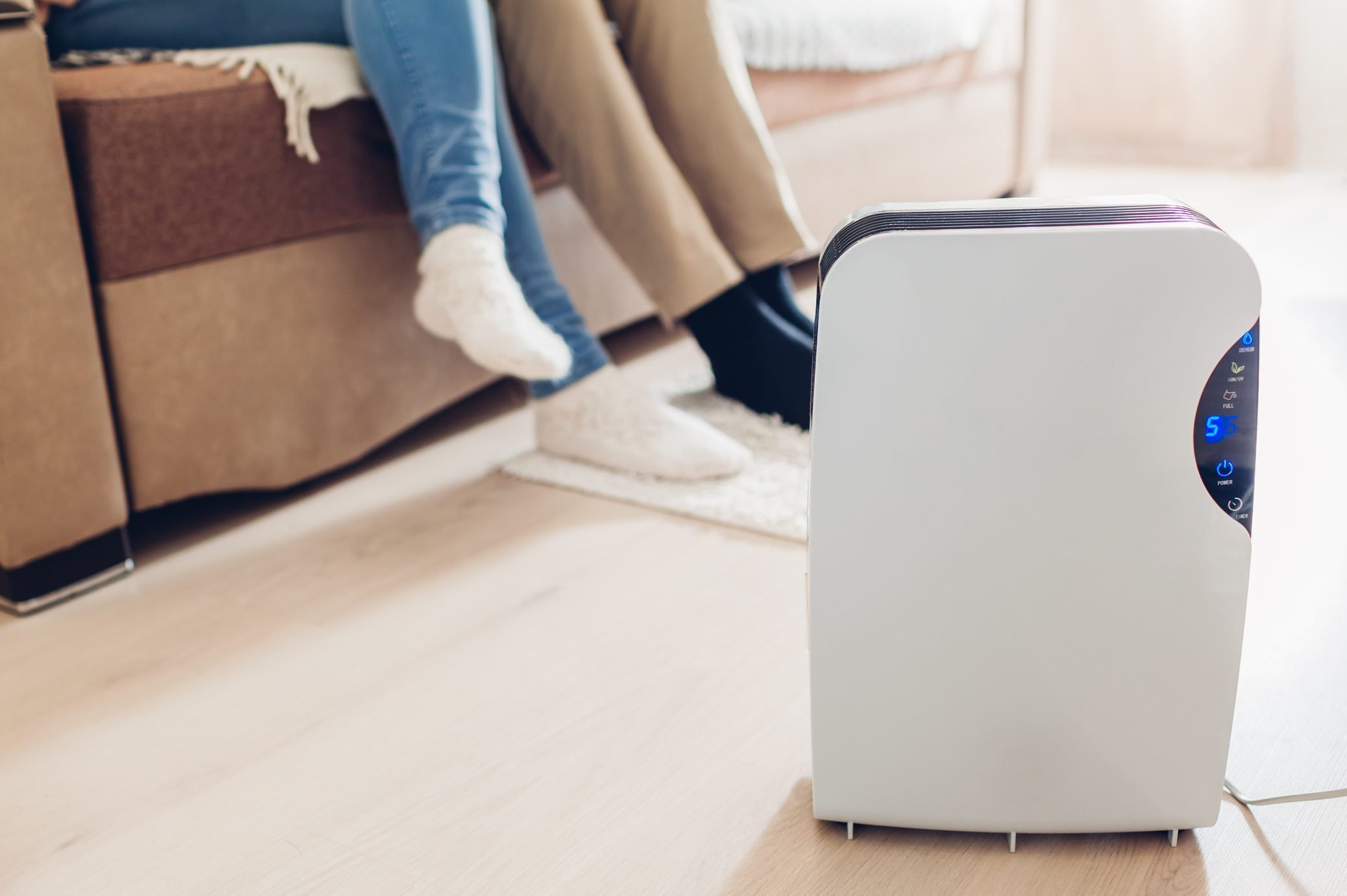 Air Purifier vs. Humidifier: Which is Right for You?