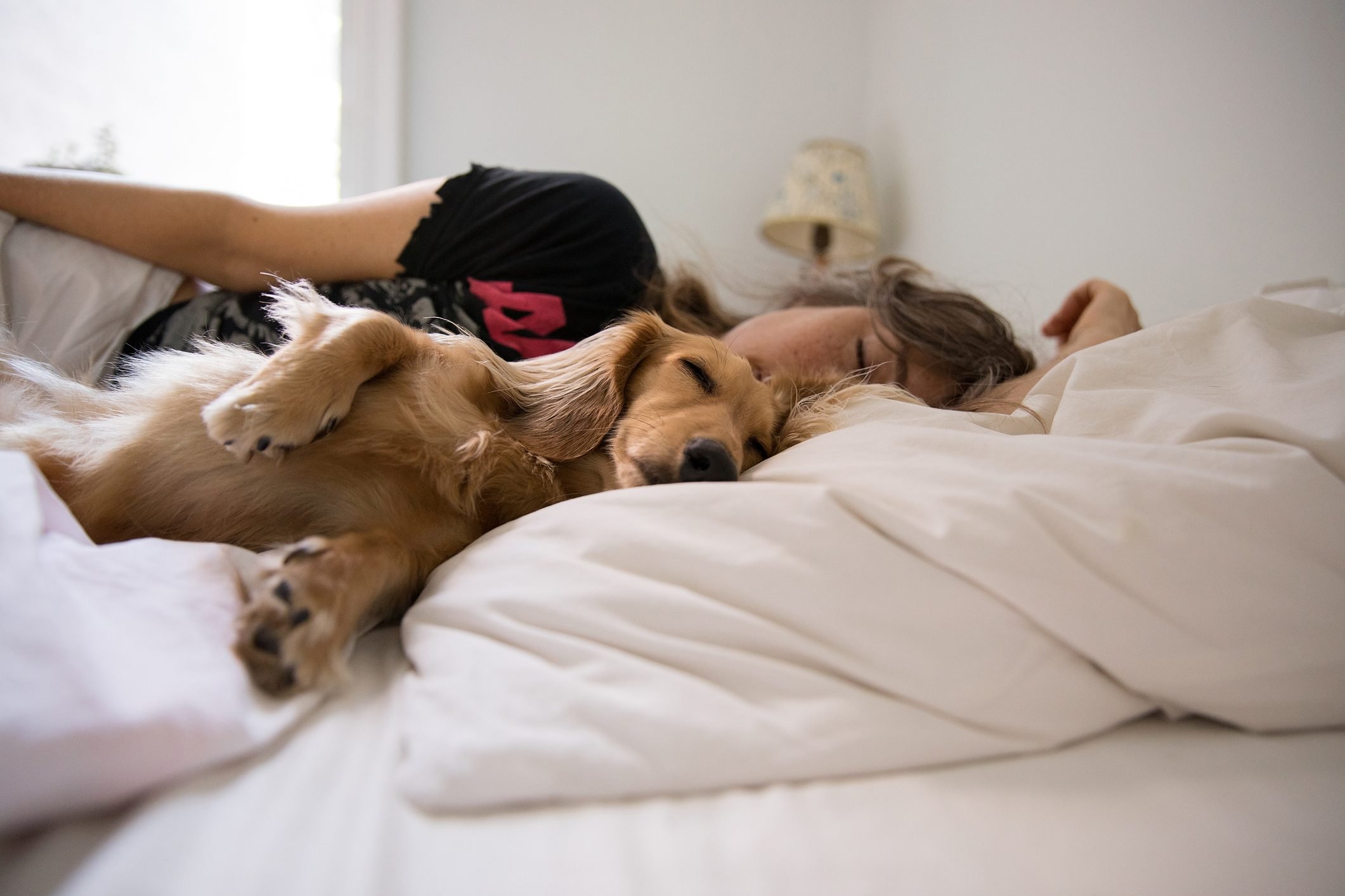 Should Your Dog Be Sleeping in Your Bed? Here's What the Experts Say