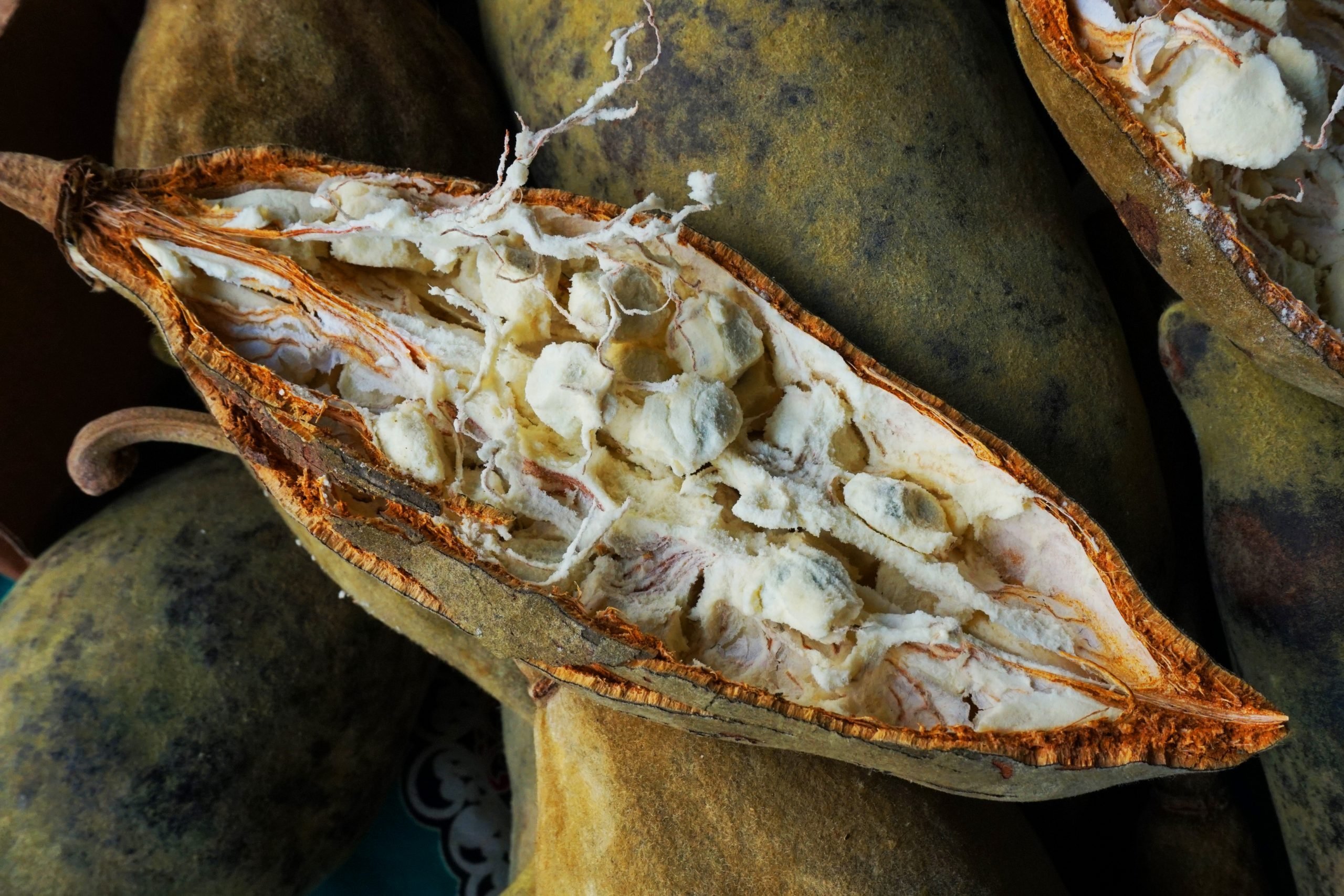 Baobab Fruit: 10 Things Nutritionists Need You to Know