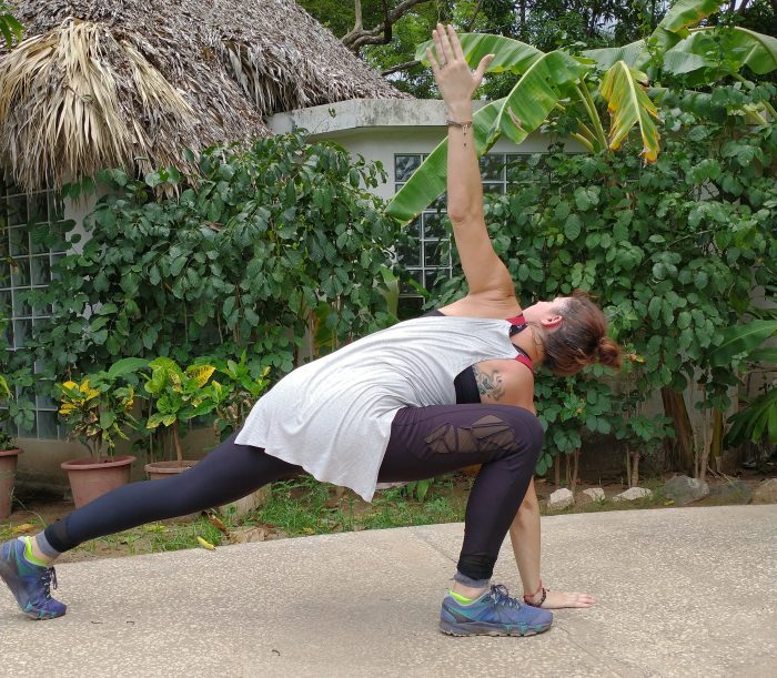 high plank mountain climber rotation