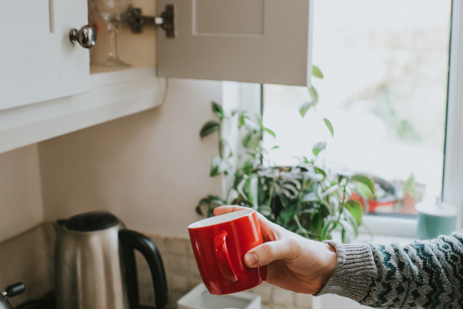 Do You Need to Wash Your Coffee Mug Every Day?