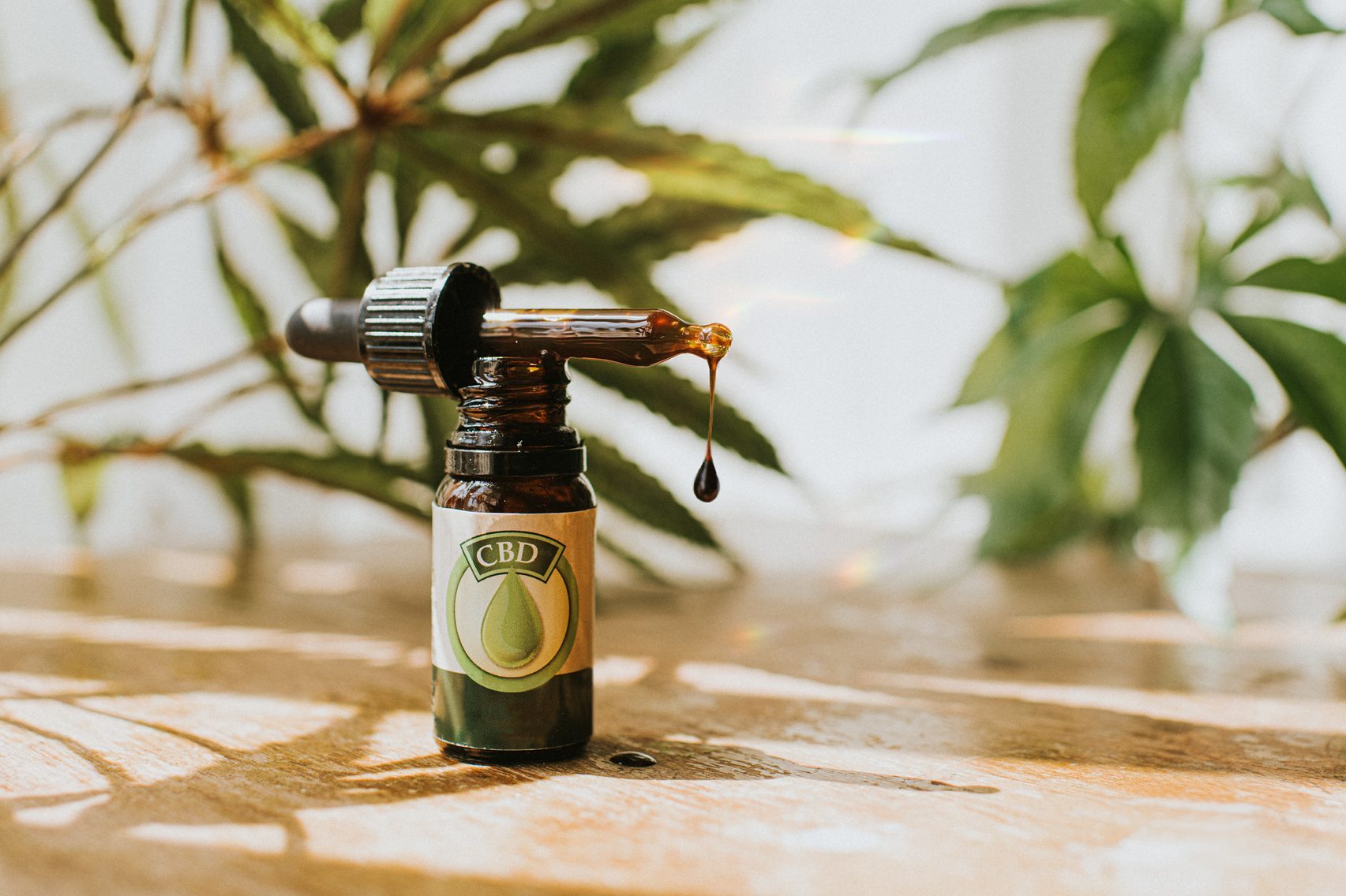 CBD oil Dropper on glass Bottle, surrounded by Cannabis Plants