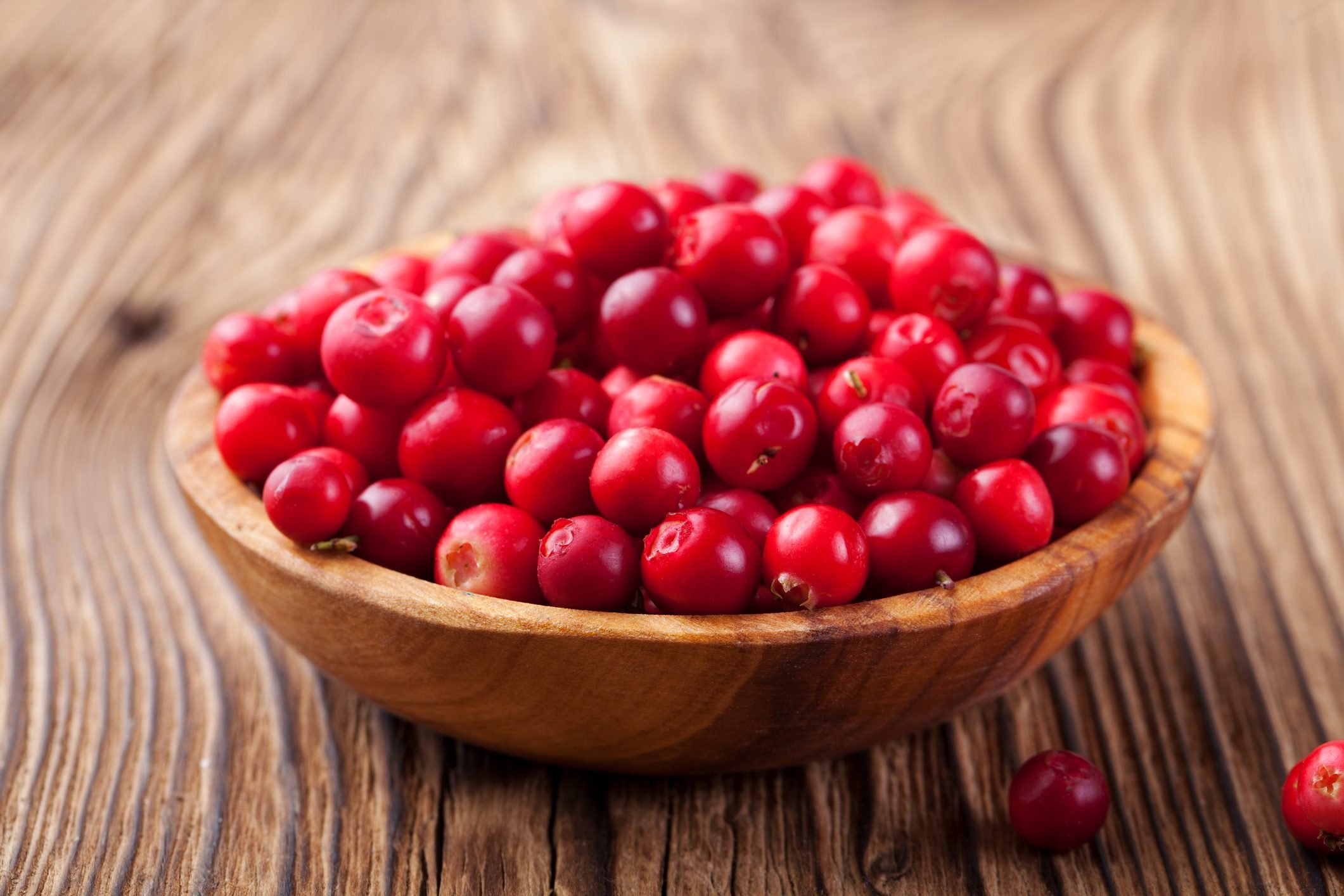 Can Dogs Eat Cranberries? 13 Things to Know