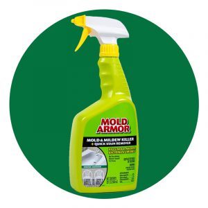 https://www.thehealthy.com/wp-content/uploads/2021/10/Mold-Armor-FG502-Mold-and-Mildew-Killer-via-amazon-300x300.jpg