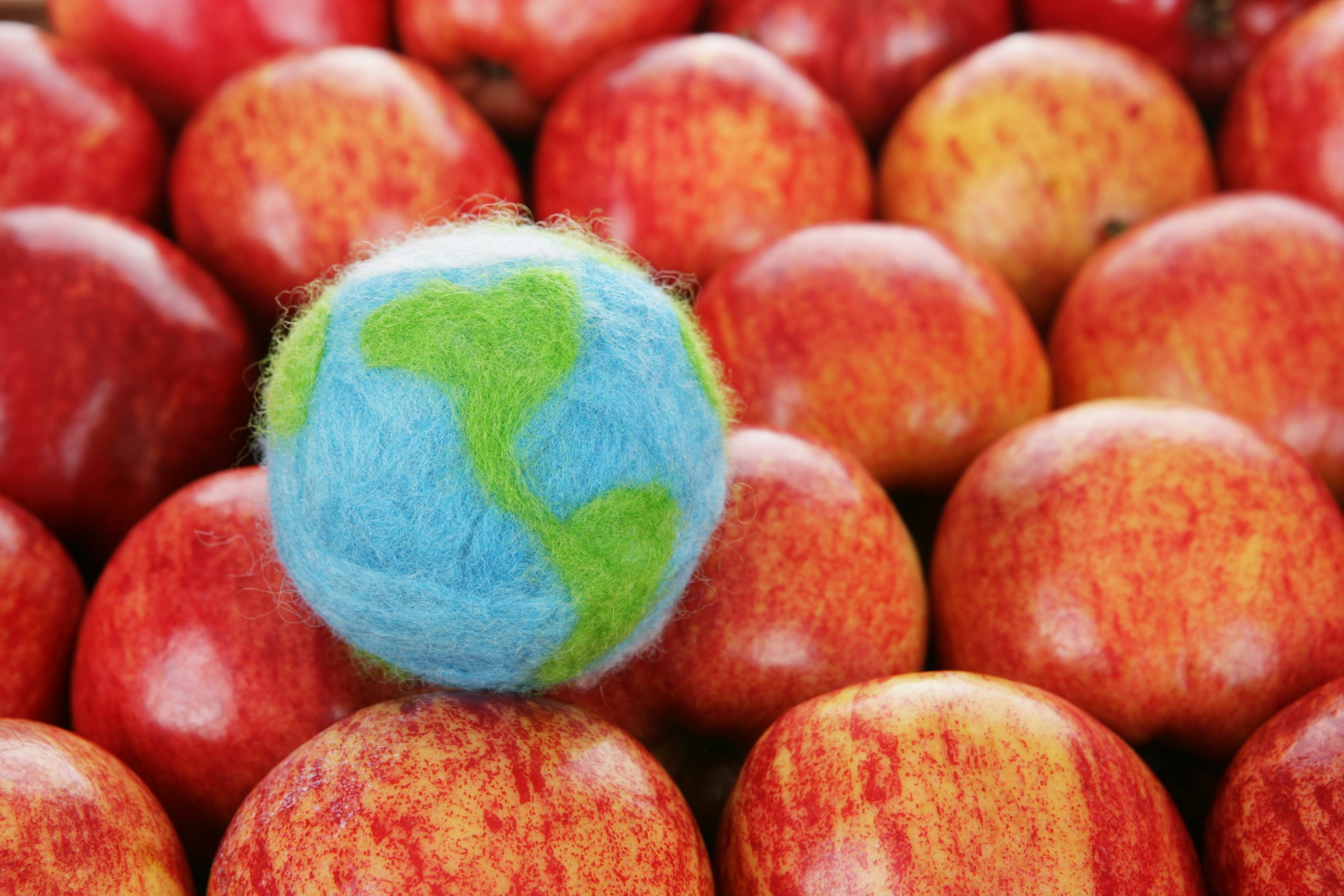 Nutrition Experts Share 6 Earth-Friendlier Ways to Enjoy Your Favorite Foods