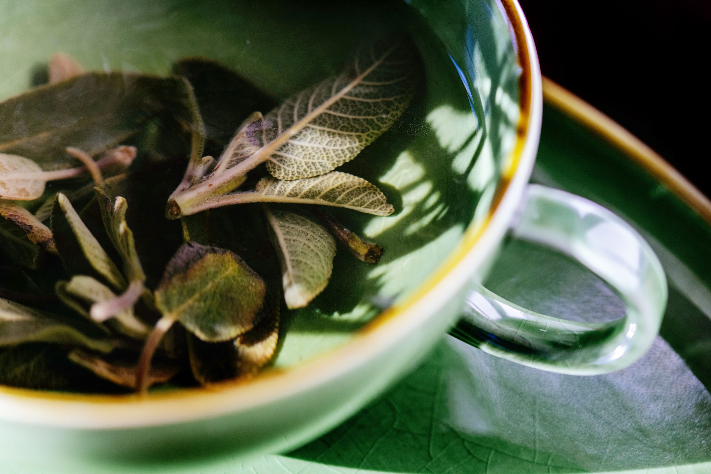 Drink Green Tea Every Day For Lower Blood Sugar and Better Gut Health