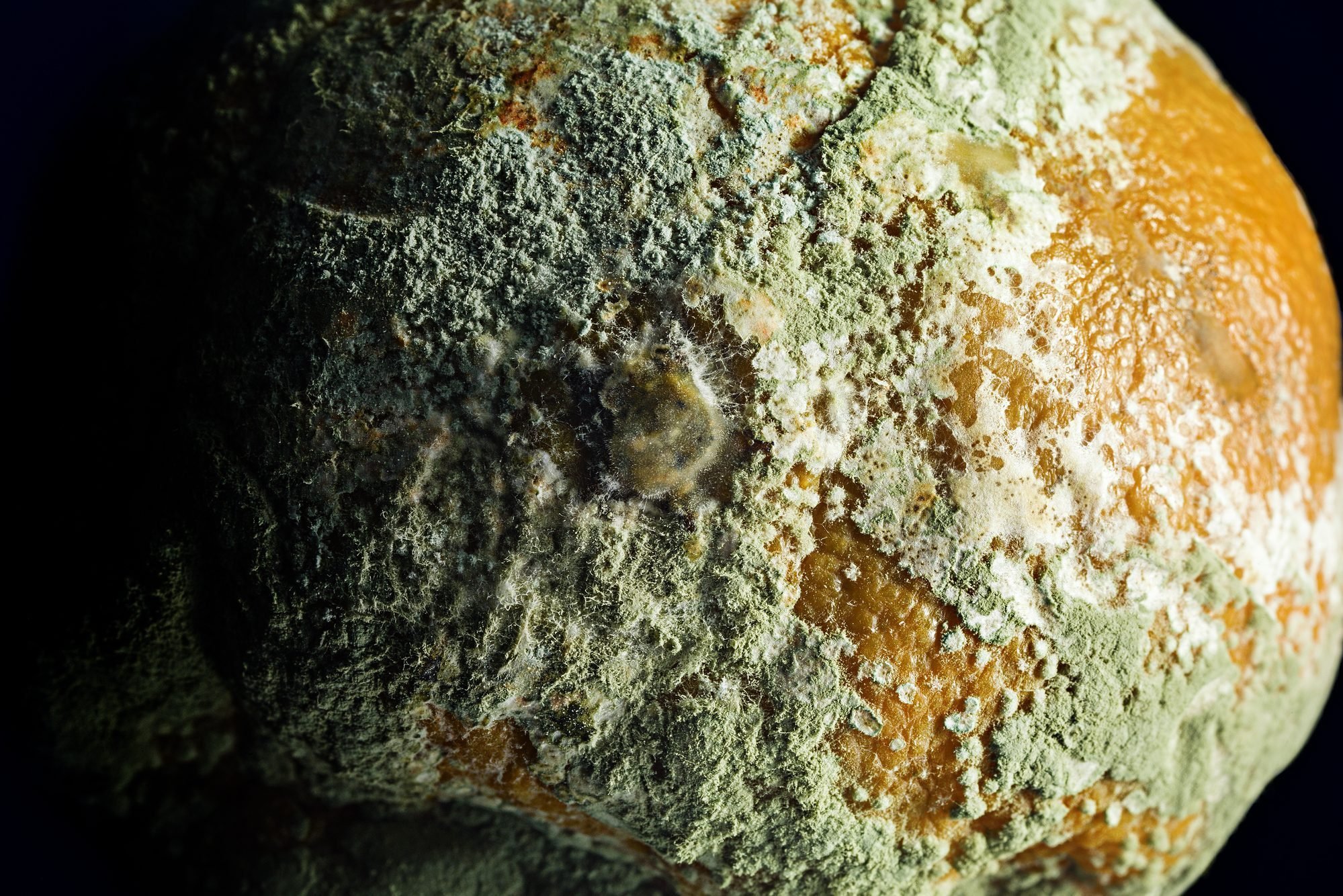 5 Silent Signs You're Being Exposed to Mold