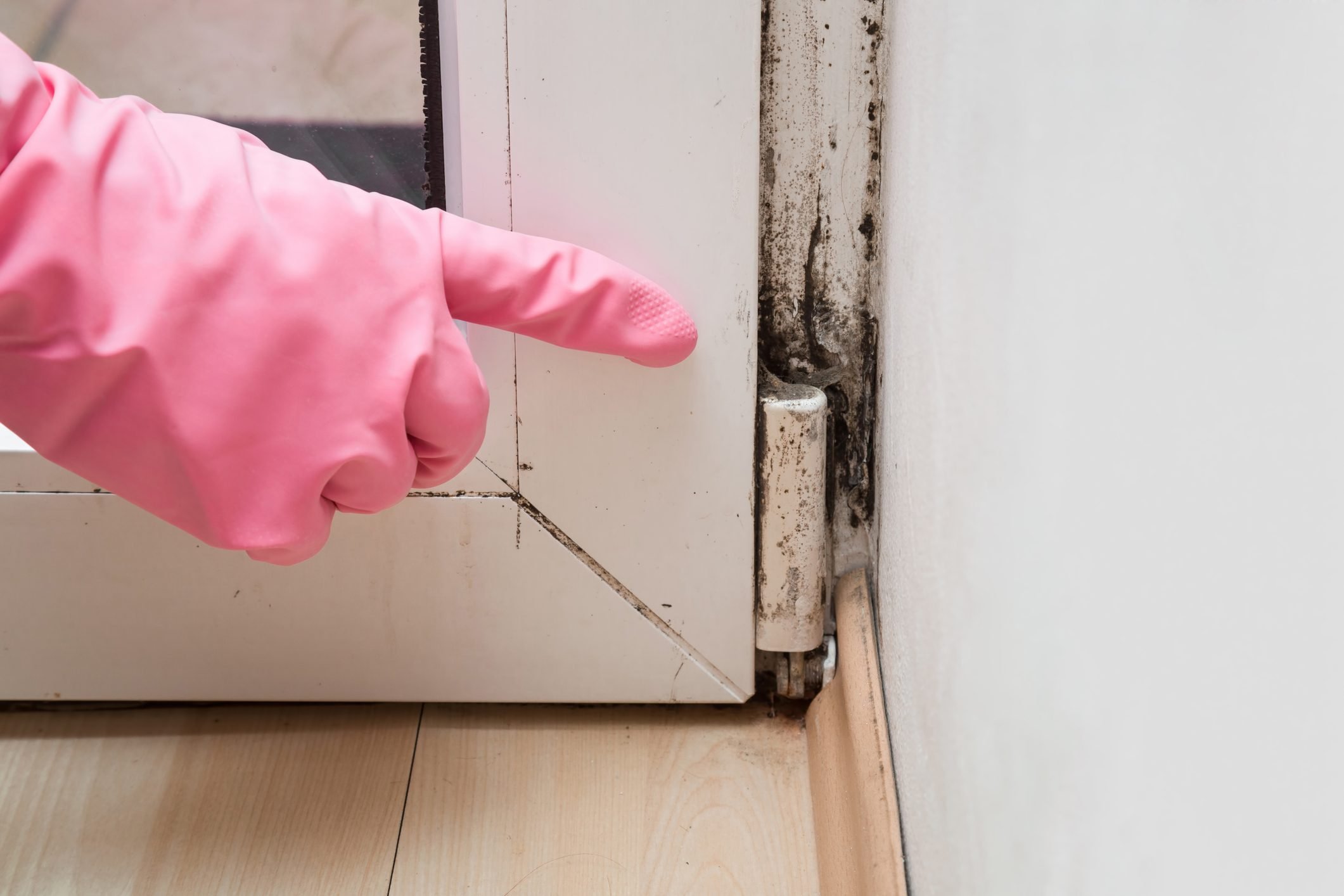 14 Health Effects of Mold in Your Home, from an Air Quality Scientist