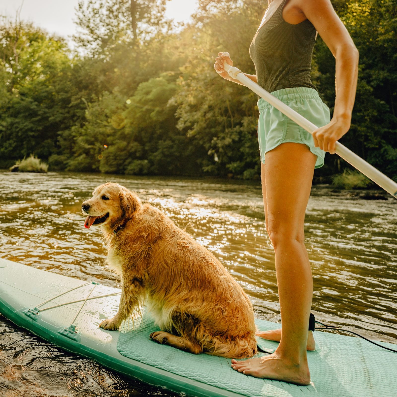 6 Workouts You Can Do With Your Dog, from Pet Experts