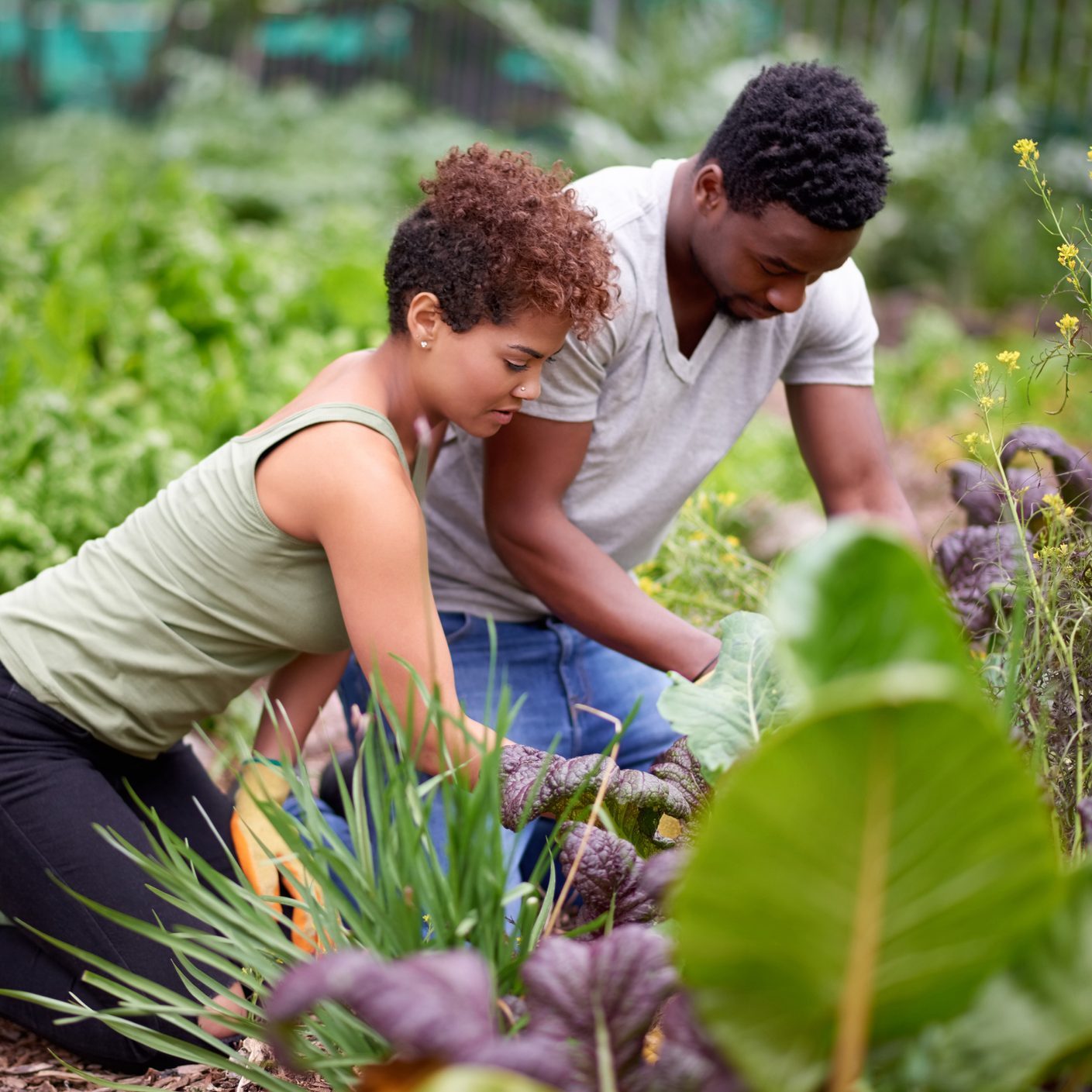 young couple working in a vegetable garden|young couple working in a vegetable garden|Portrait of multiracial three generations family praying together when dining outdoors in front or back yard.|Smiling student with hand raised in lecture hall|boy going size kid measure Child measuring his height on wall.|One great date deserves many more|Shot of a baby sitting on her mother's lap while being examined by a doctor|Young gay couple lying on bed in bedroom. Enjoying in morning and first coffee of the day. Wearing pajamas. Caucasian ethnicity, blond hair. Pet dog is with them on bed|A man supports his beloved woman who is fighting breast cancer,   Valentine's Day, International Breast Cancer Day