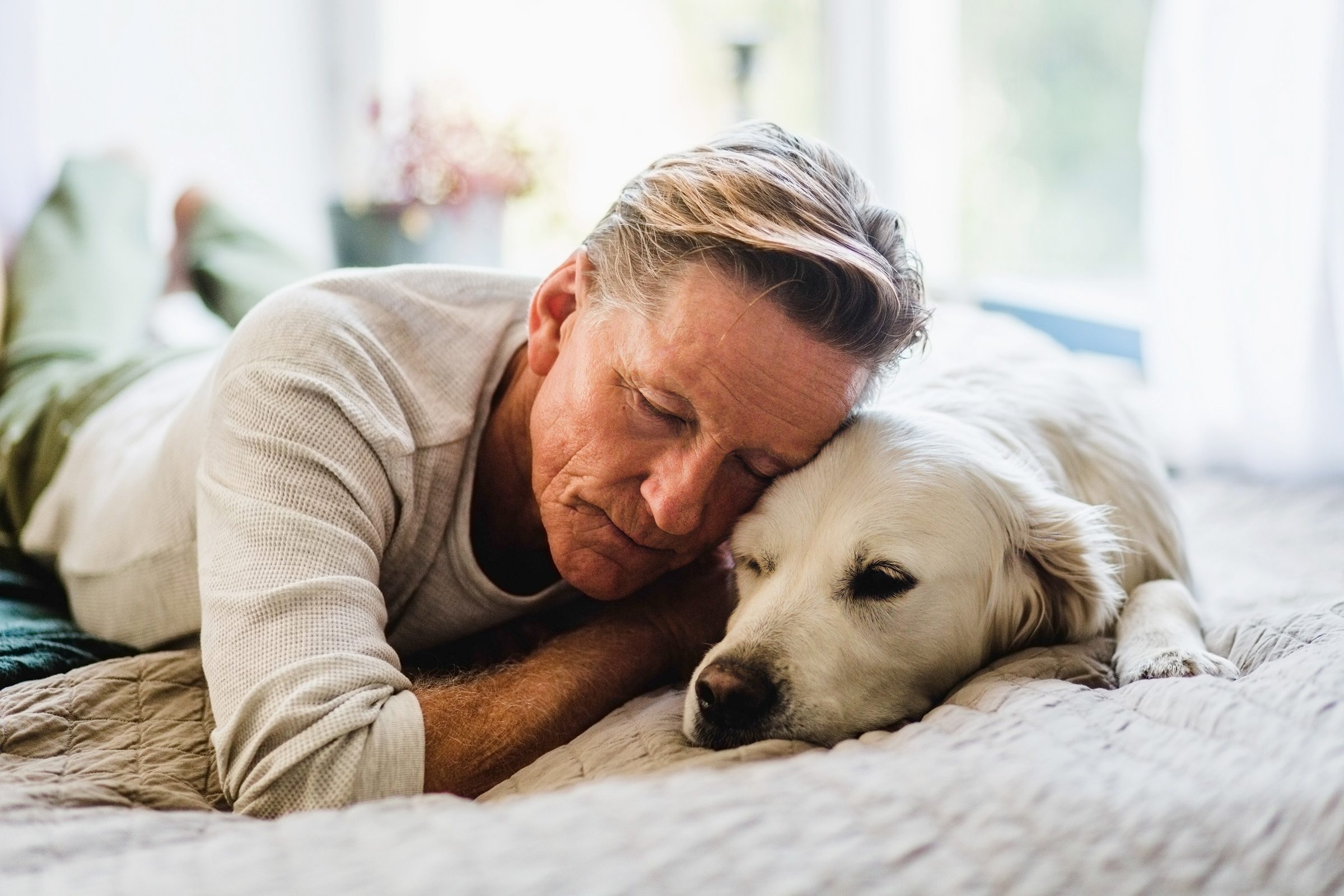 New Study: This Behavior Could Be a Sign of Dementia in Your Dog