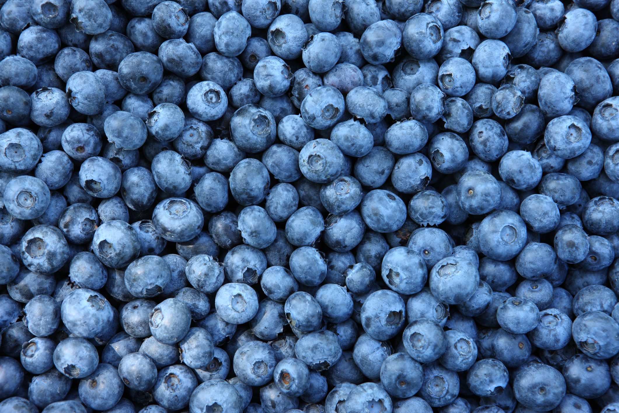 I Ate Blueberries Every Day for a Week—Here's What Happened