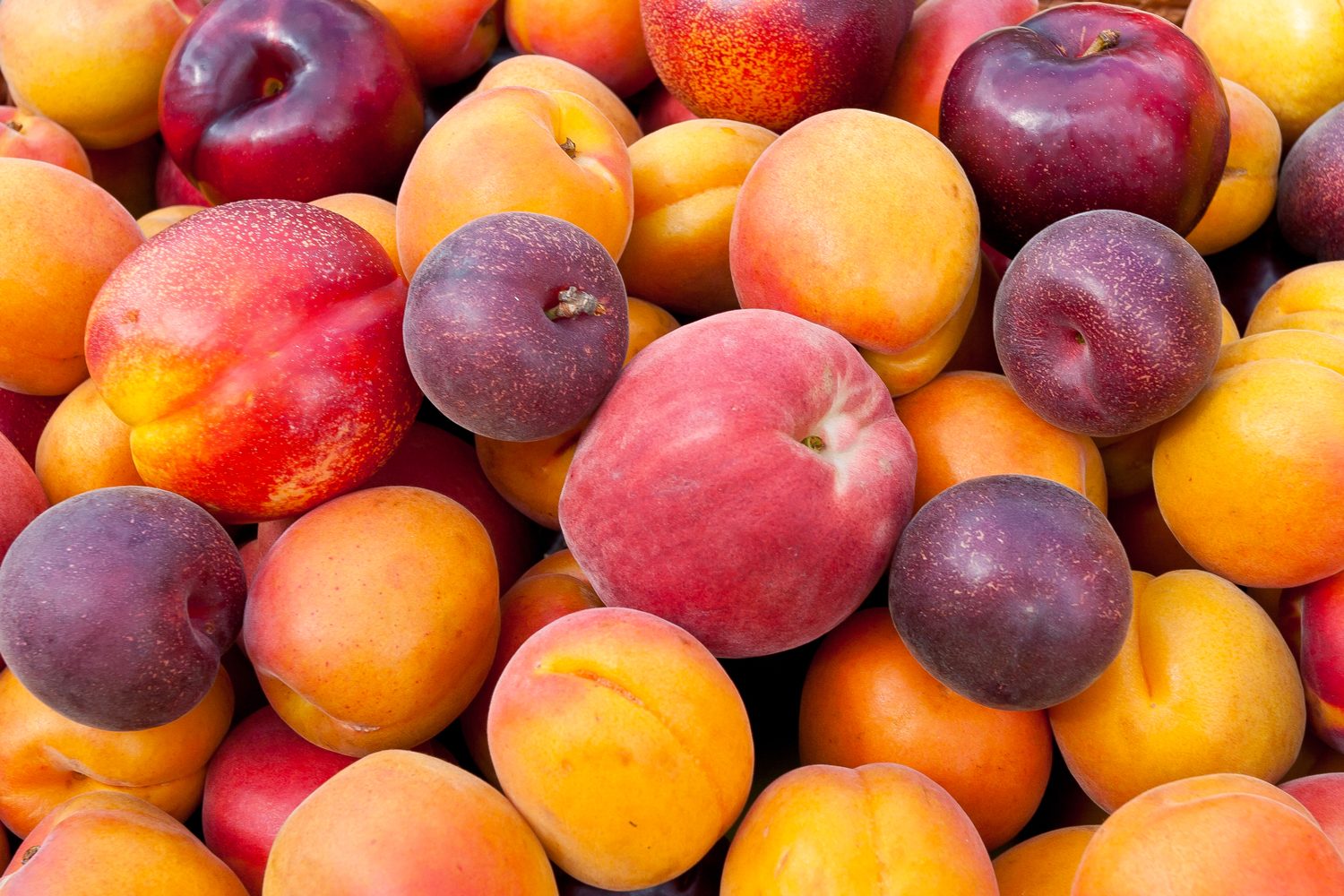 FDA Warning: Popular Fruit Sold Nationally Could Be Contaminated with Listeria
