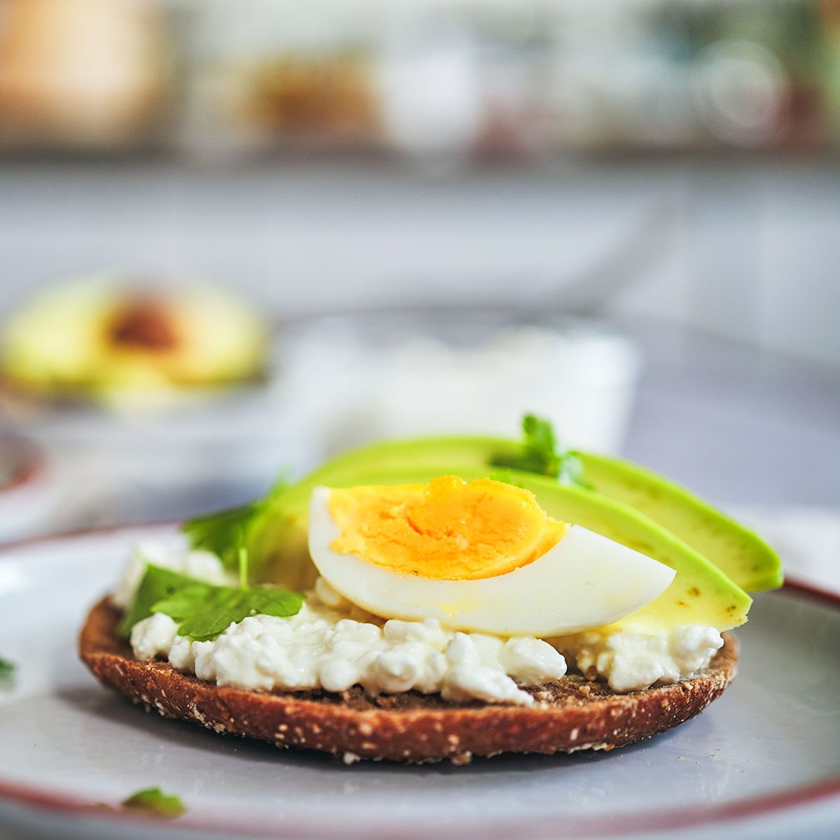 Avocado Sandwich with Brown Bread, Cottage Cheese and Eggs|