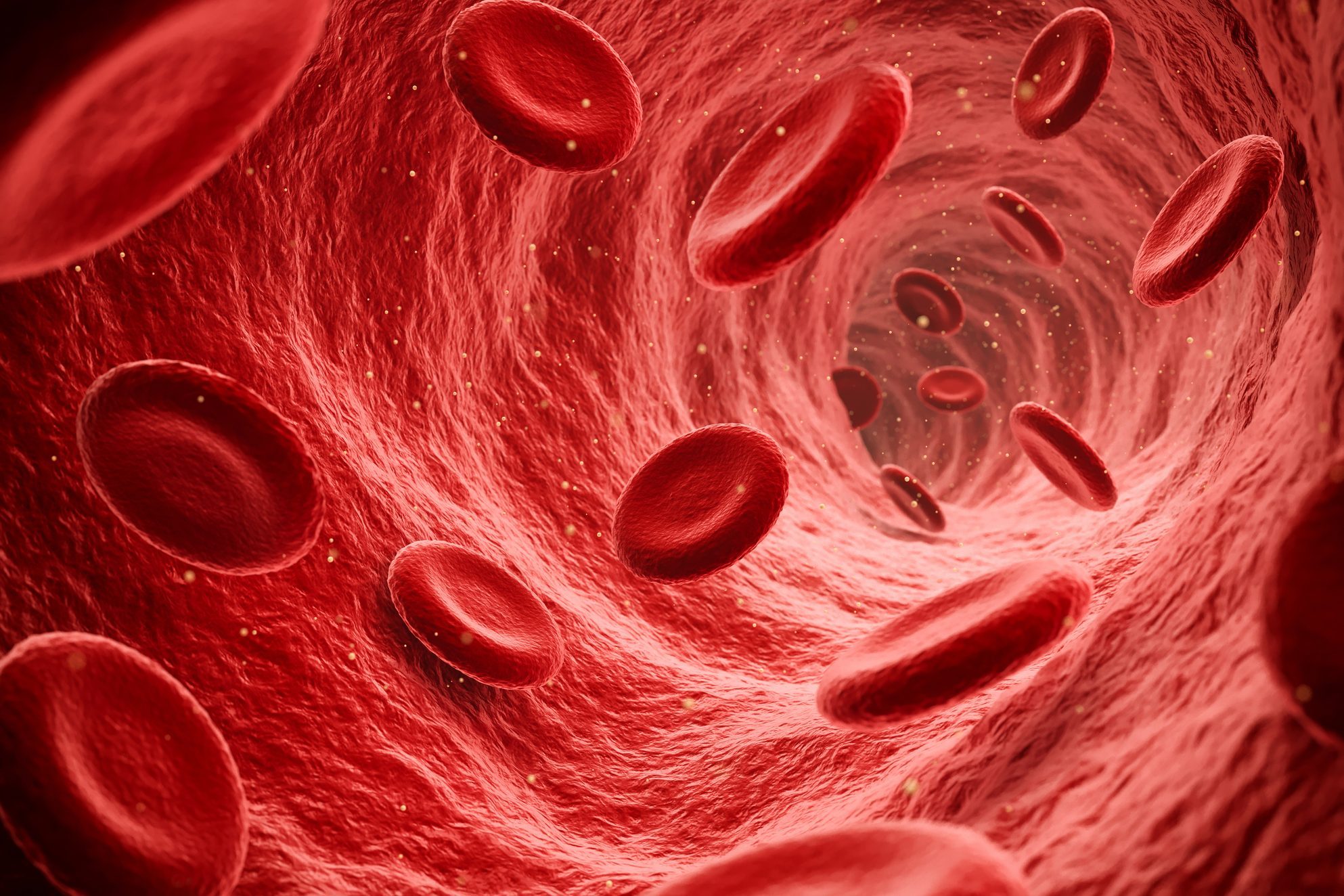 Red blood cells flowing through the blood stream