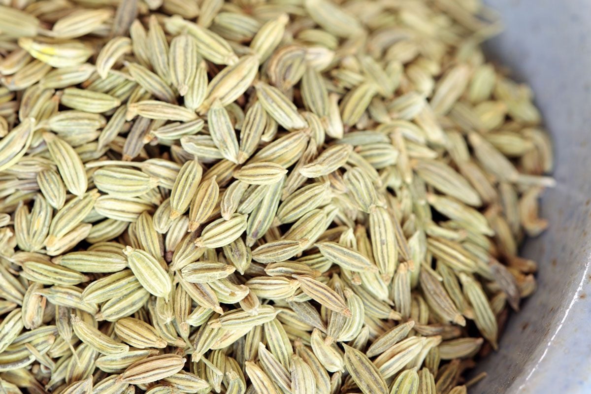 close up of Fennel Seeds|close up of Fennel Seeds|Dog Walking Injuries|fiber psyllium for a healthy diet superfood|variety of legumes from above|Wheat BranWheat bran with kitchen equipment photographed on plank|Sliced kiwi and smoothie slices in a glass on a gray table. Healthy food.|Close-Up Of Brown Flaxseeds On Spoon At Table|Man sitting on toilet bowl properly, he put feet on a small stool in a squatting position, during the defecation. Health concept.